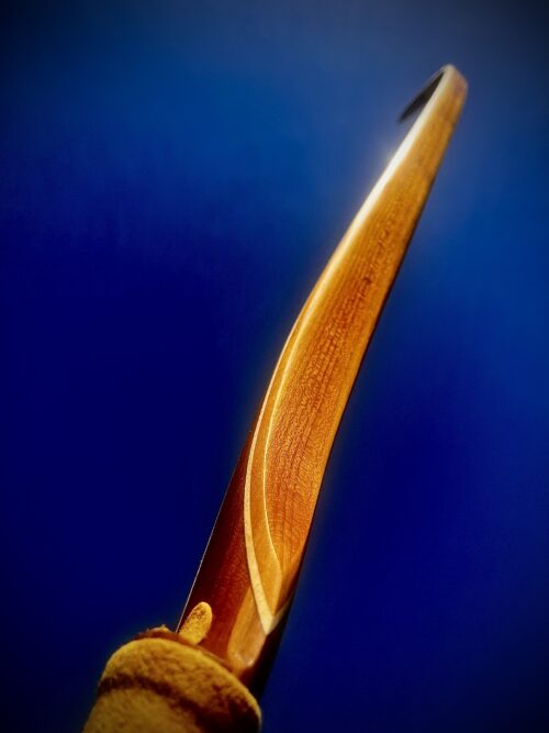 A Hunting-Bow for Texas